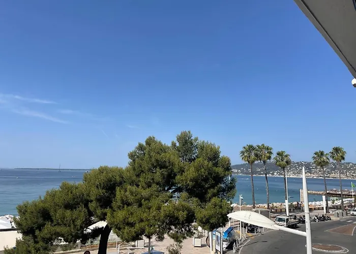 Le Chouta * Αντίμπ